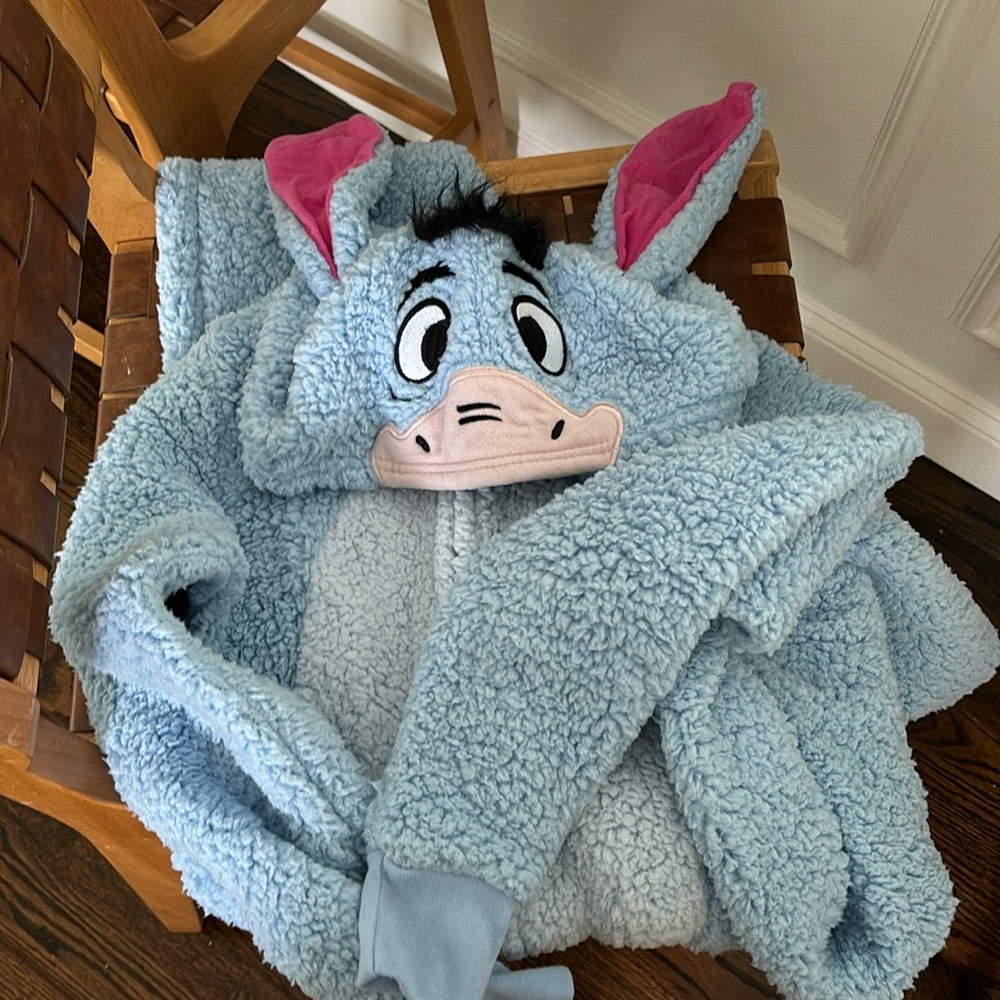 Eeyore Adult Women’s Costume